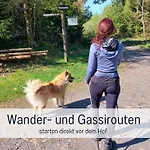 Im Sauerland Hunde Willkommen Kamin Und Garten Am Waldrand Muehls-sauerland Apartment Lennestadt