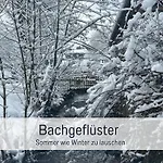 Im Sauerland Hunde Willkommen Kamin Und Garten Am Waldrand Muehls-sauerland *