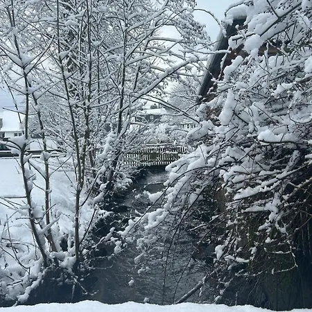 Apartment Muehls - Sauerland Naehe Elspe Festival Hunde Willkommen Mit Kamin Und Garten Perfekt Fuer Deine Urlaubsrunde *