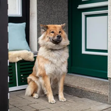 Apartment Muehls - Sauerland Naehe Elspe Festival Hunde Willkommen Mit Kamin Und Garten Perfekt Fuer Deine Urlaubsrunde Lennestadt