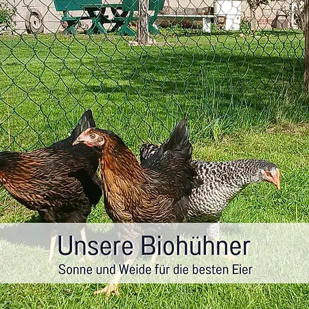 Apartmán Im Sauerland Hunde Willkommen Kamin Und Garten Am Waldrand Muehls-sauerland Lennestadt