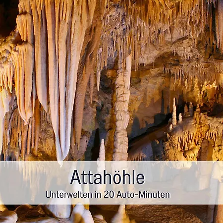 Im Sauerland Hunde Willkommen Kamin Und Garten Am Waldrand Muehls-sauerland アパート レンネシュタット