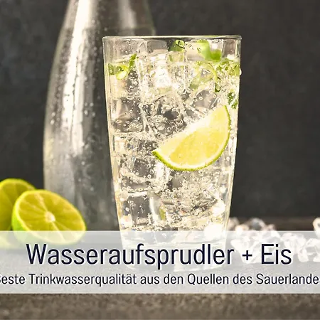 아파트 Im Sauerland Hunde Willkommen Kamin Und Garten Am Waldrand Muehls-sauerland *