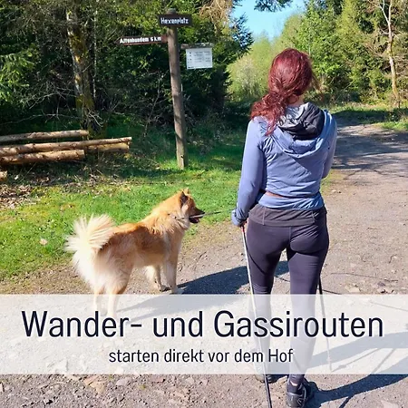 Im Sauerland Hunde Willkommen Kamin Und Garten Am Waldrand Muehls-sauerland Apartmán Lennestadt