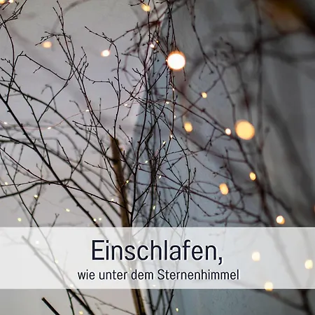 Im Sauerland Hunde Willkommen Kamin Und Garten Am Waldrand Muehls-sauerland * Lennestadt