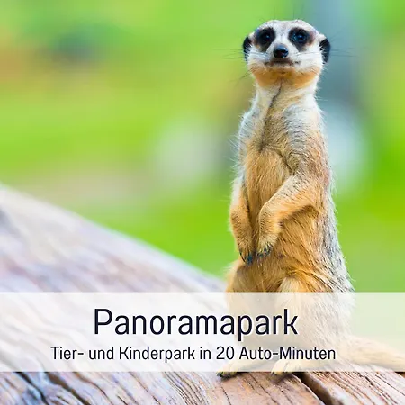 Im Sauerland Hunde Willkommen Kamin Und Garten Am Waldrand Muehls-sauerland レンネシュタット