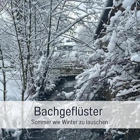 Im Sauerland Hunde Willkommen Kamin Und Garten Am Waldrand Muehls-sauerland *