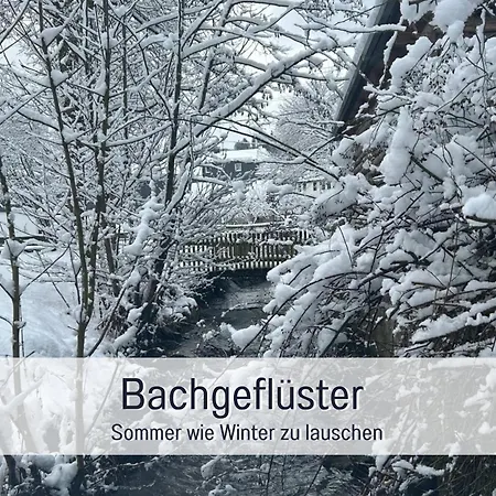 Muehls-sauerland Hunde Willkommen Mit Kamin Und Garten Naehe Elspe Festival Familienfreundlich Perfekt Fuer Deine Urlaubsrunde *