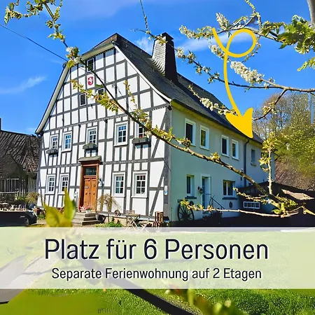 Im Sauerland Hunde Willkommen Kamin Und Garten Am Waldrand Muehls-sauerland * レンネシュタット