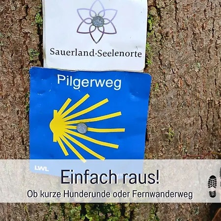 Im Sauerland Hunde Willkommen Kamin Und Garten Am Waldrand Muehls-sauerland Lejlighed