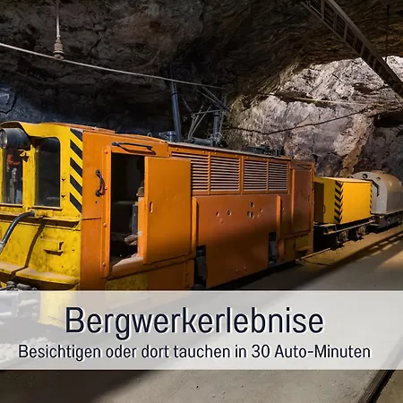 Im Sauerland Hunde Willkommen Kamin Und Garten Am Waldrand Muehls-sauerland Леннештадт