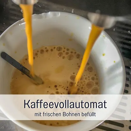 Im Sauerland Hunde Willkommen Kamin Und Garten Am Waldrand Muehls-sauerland