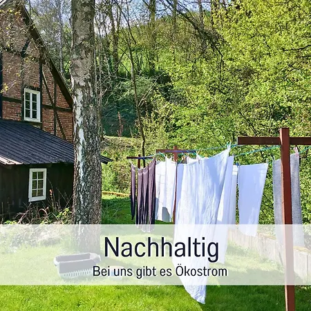 Lejlighed Im Sauerland Hunde Willkommen Kamin Und Garten Am Waldrand Muehls-sauerland *
