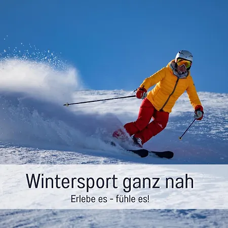 Im Sauerland Hunde Willkommen Kamin Und Garten Am Waldrand Muehls-sauerland * レンネシュタット