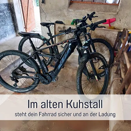 Im Sauerland Hunde Willkommen Kamin Und Garten Am Waldrand Muehls-sauerland