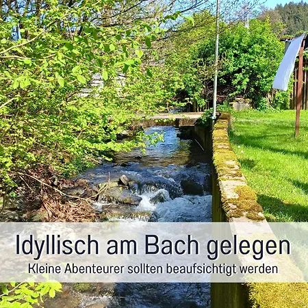 アパート Im Sauerland Hunde Willkommen Kamin Und Garten Am Waldrand Muehls-sauerland レンネシュタット