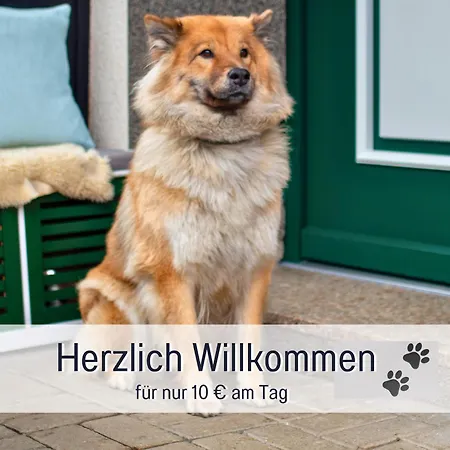 Im Sauerland Hunde Willkommen Kamin Und Garten Am Waldrand Muehls-sauerland * 레네슈타트