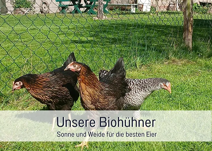 Апартаменты Im Sauerland Hunde Willkommen Kamin Und Garten Am Waldrand Muehls-sauerland Леннештадт