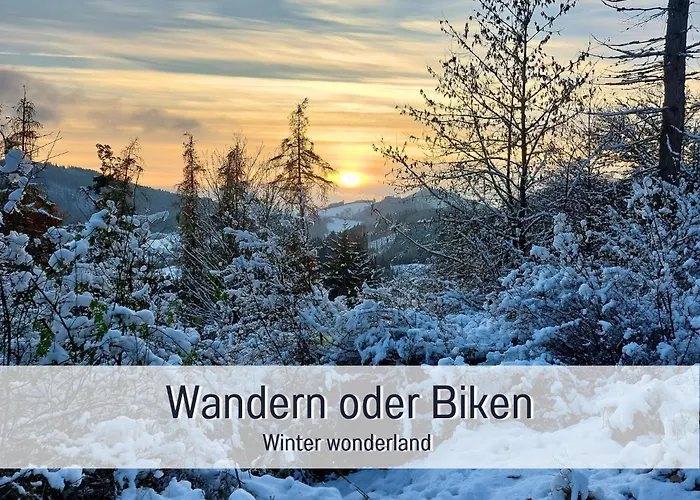 Im Sauerland Hunde Willkommen Kamin Und Garten Am Waldrand Muehls-sauerland Апартаменты *