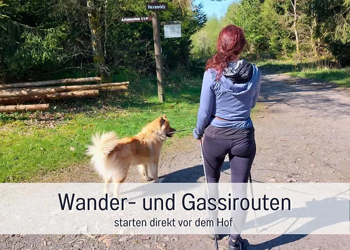 Im Sauerland Hunde Willkommen Kamin Und Garten Am Waldrand Muehls-sauerland Апартаменты Леннештадт