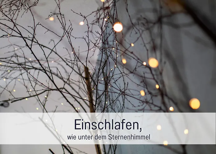 Im Sauerland Hunde Willkommen Kamin Und Garten Am Waldrand Muehls-sauerland * Леннештадт