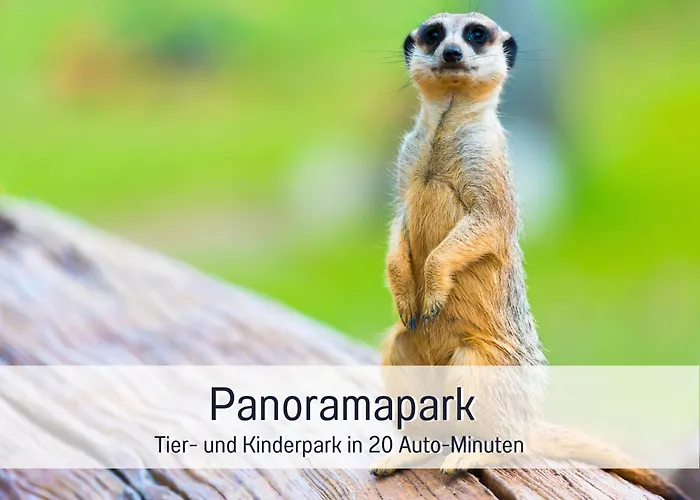 Im Sauerland Hunde Willkommen Kamin Und Garten Am Waldrand Muehls-sauerland Lennestadt