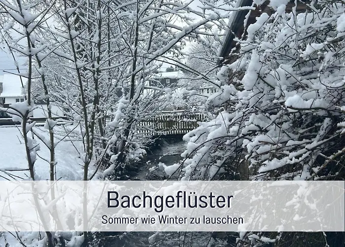 Im Sauerland Hunde Willkommen Kamin Und Garten Am Waldrand Muehls-sauerland *