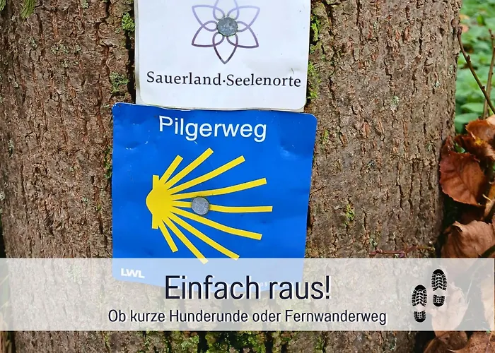 Im Sauerland Hunde Willkommen Kamin Und Garten Am Waldrand Muehls-sauerland شقة