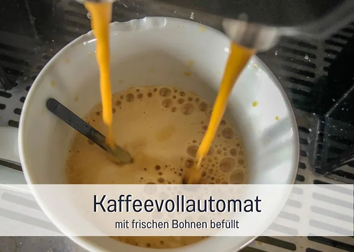 Im Sauerland Hunde Willkommen Kamin Und Garten Am Waldrand Muehls-sauerland