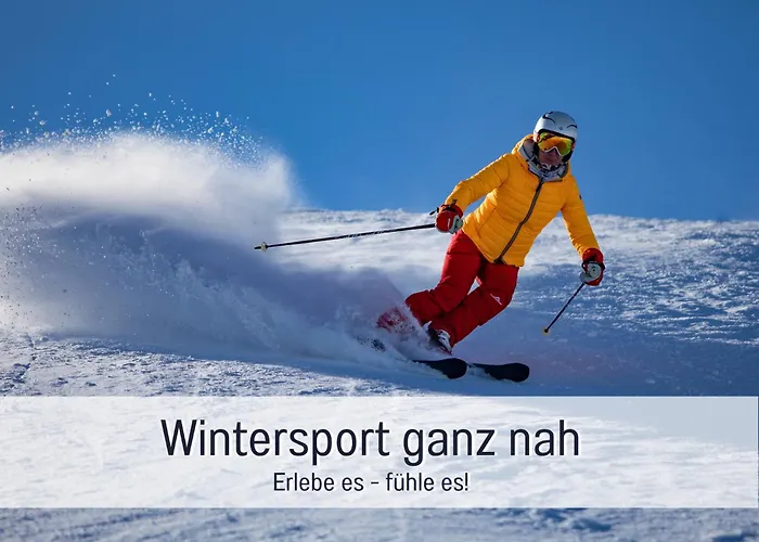 Im Sauerland Hunde Willkommen Kamin Und Garten Am Waldrand Muehls-sauerland * Lennestadt