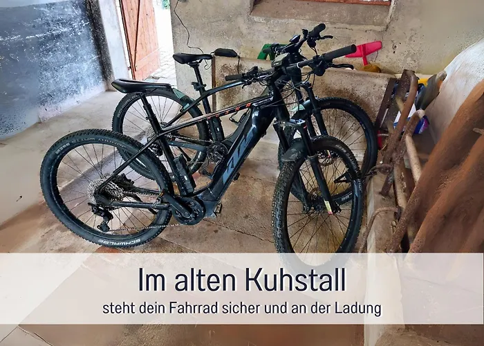 Im Sauerland Hunde Willkommen Kamin Und Garten Am Waldrand Muehls-sauerland