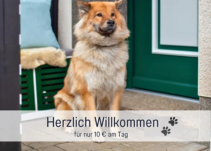 Im Sauerland Hunde Willkommen Kamin Und Garten Am Waldrand Muehls-sauerland * لينهشتات